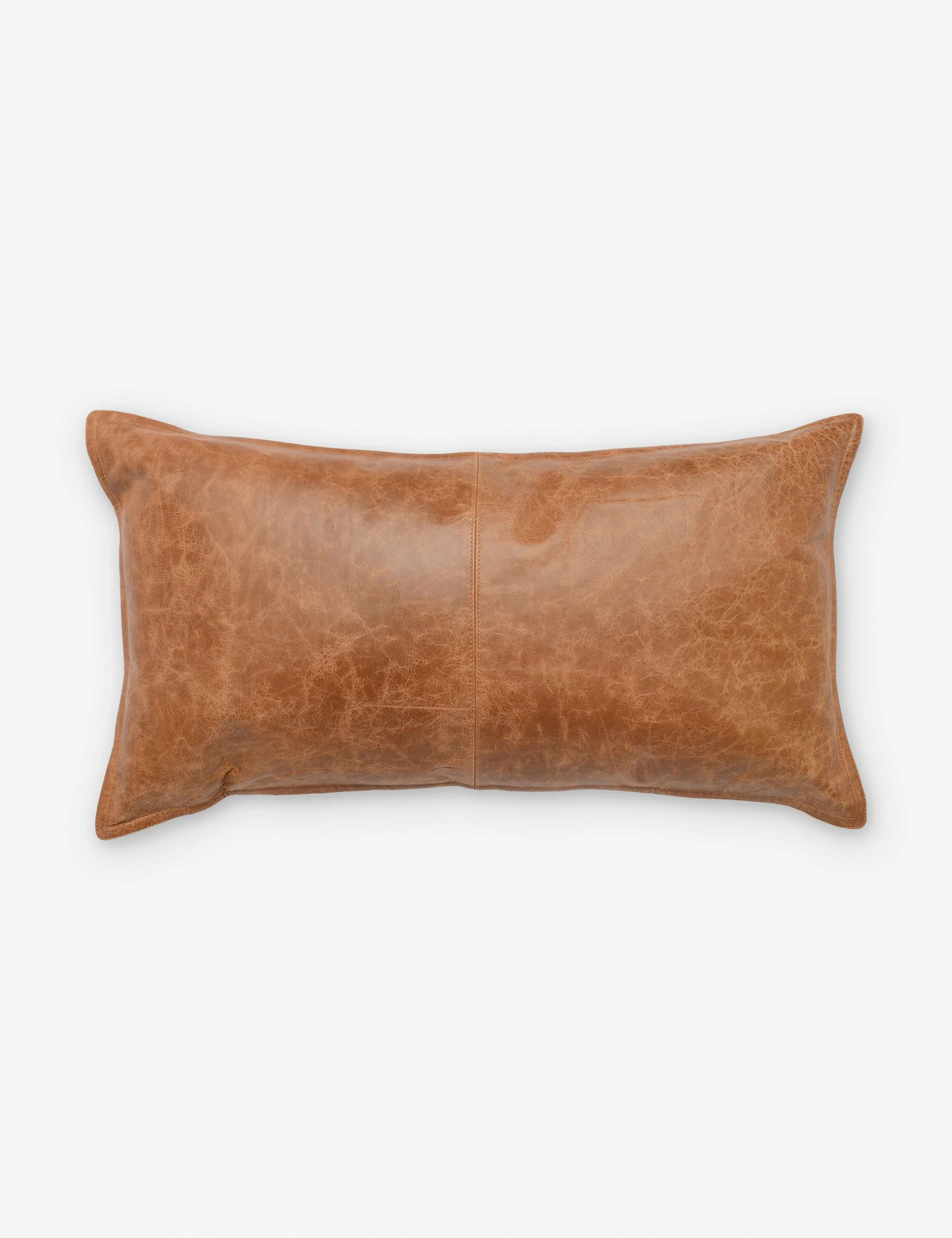 Sabrea Leather Lumbar Pillow | Lulu and Georgia 