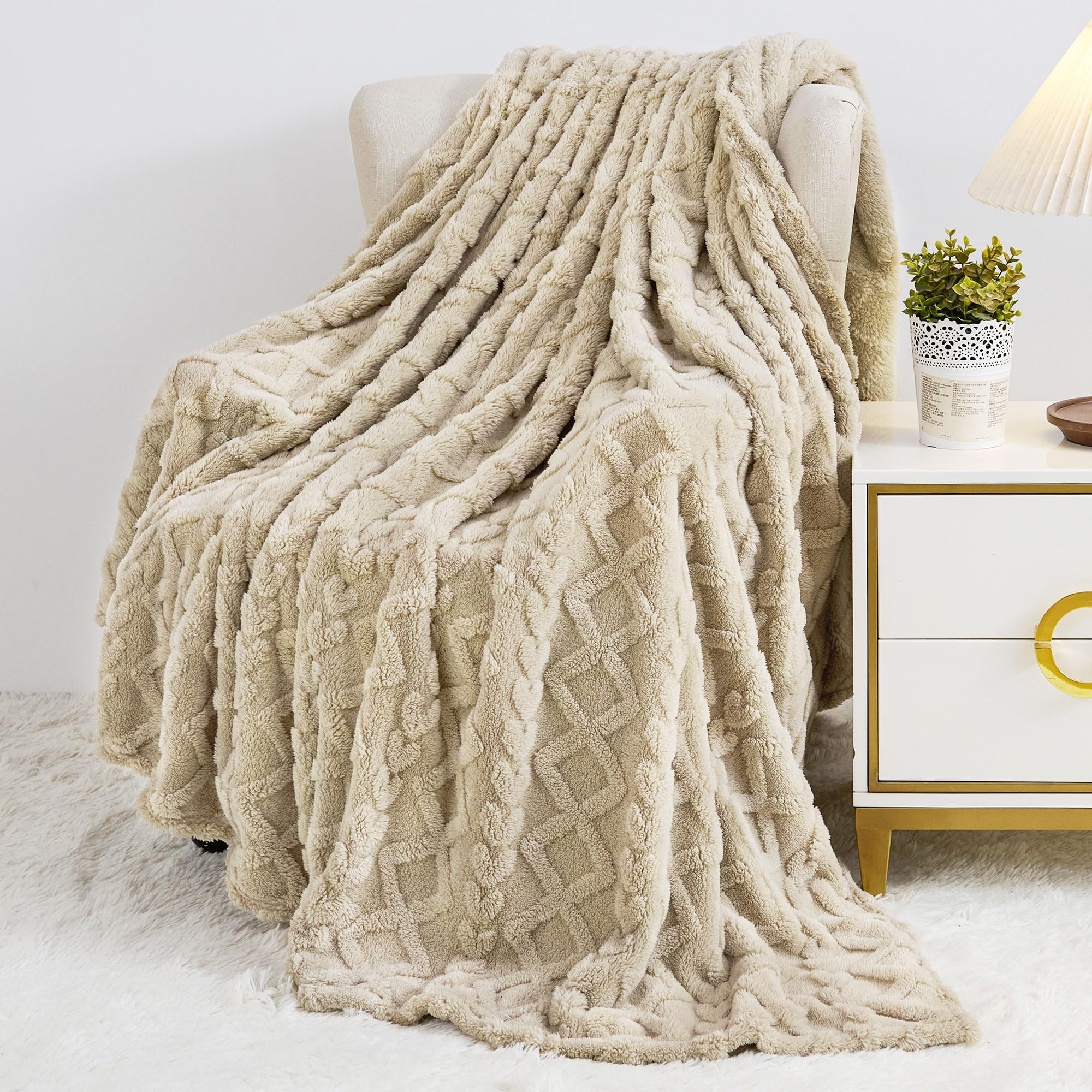 Aganear Fleece Throw Blanket - Cozy Soft Lightweight Fuzzy Throw Blanket for Women Portable Throw... | Amazon (US)