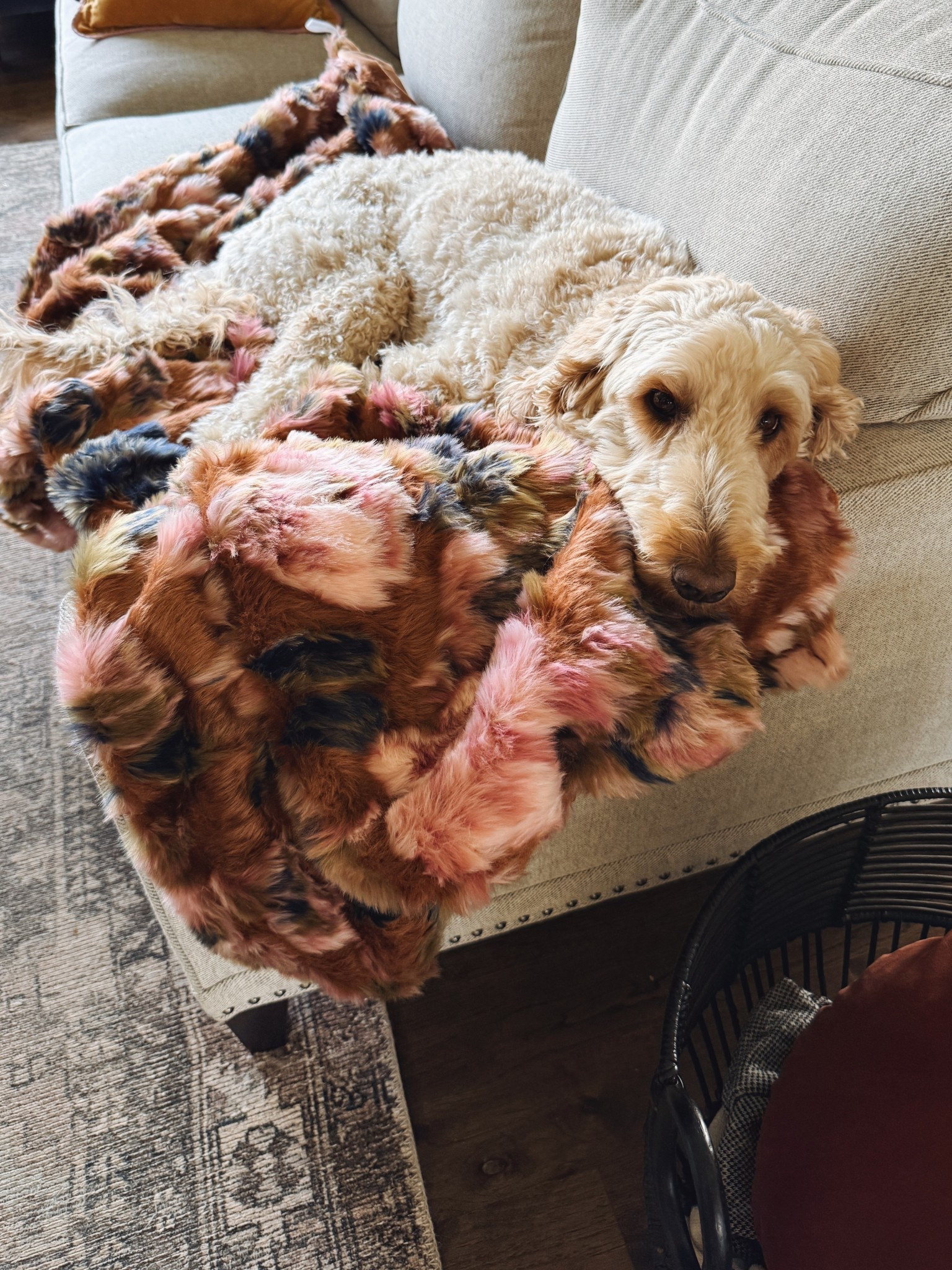 The blanket we all fight over. Even Crew is positive I bought it for him! It’s currently $40 off for a limited time!!

#LTKHome #LTKFindsUnder100 #LTKSaleAlert