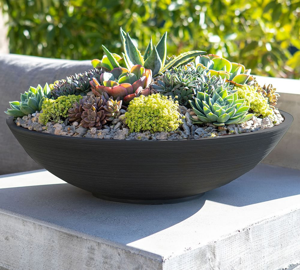 Hevea Outdoor Bowl Planters | Pottery Barn (US)
