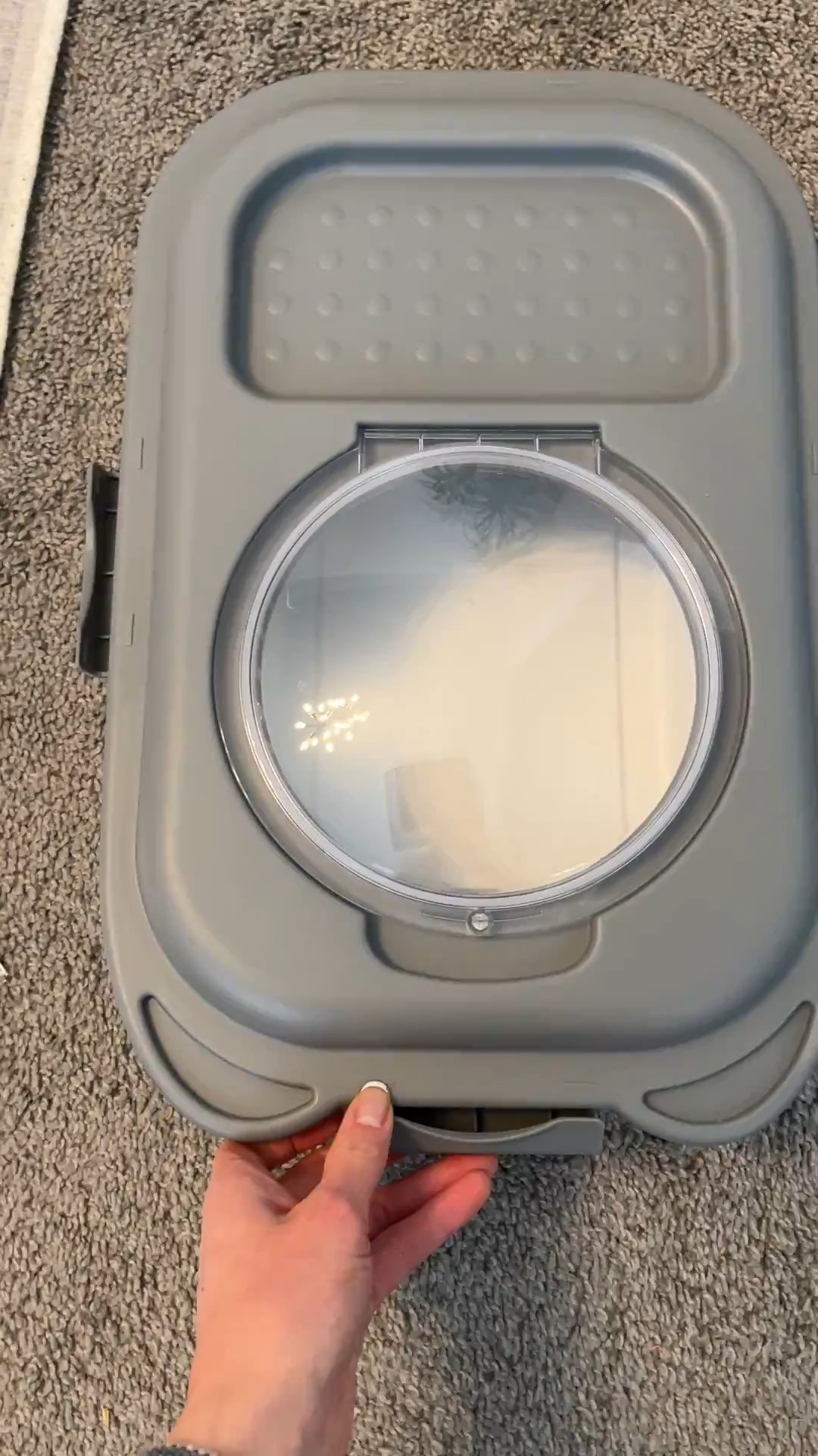 Pet food storage 🐶🐾