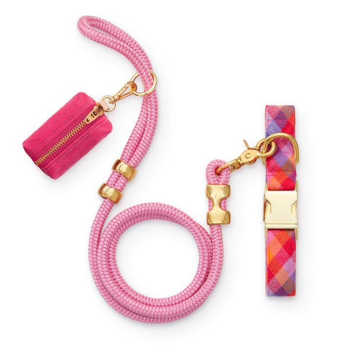 The Foggy Dog Walk Set | Mark and Graham