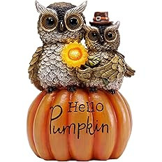 TERESA'S COLLECTIONS Outdoor Fall Decor for Garden Statues, Halloween Owl Pumpkin Decor with Sola... | Amazon (US)