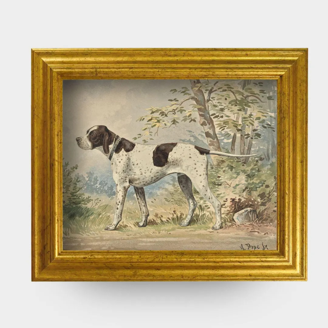 The Field Dog No. 02 - 8x10 Antique Inspired Framed Hunting English Pointer Portrait - Etsy | Etsy (US)