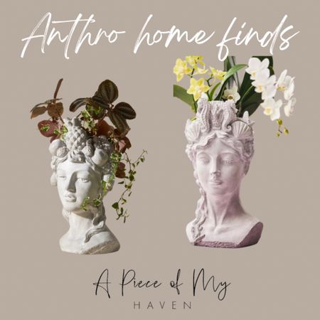 I’m obsessed with these! I was so excited to see them come out with a new planter

Grecian bust, Anthropologie Home 

#LTKSaleAlert #LTKHome #LTKFindsUnder100