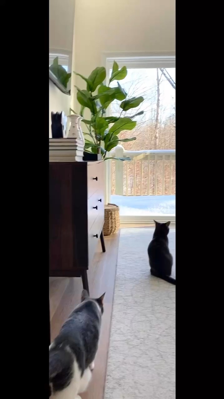 Create a home you love with stylish, affordable decor! It’s all about blending beauty with comfort and finding pieces that truly feel like you. Ready to transform your space without breaking the bank? 🏡✨ #HomeDecorGoals #StylishAndAffordable #Farmhouse40Style

#LTKHome #LTKStyleTip #LTKFamily