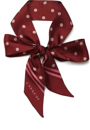 COACH Polka Dot Silk Skinny Scarf | Nordstrom | Nordstrom