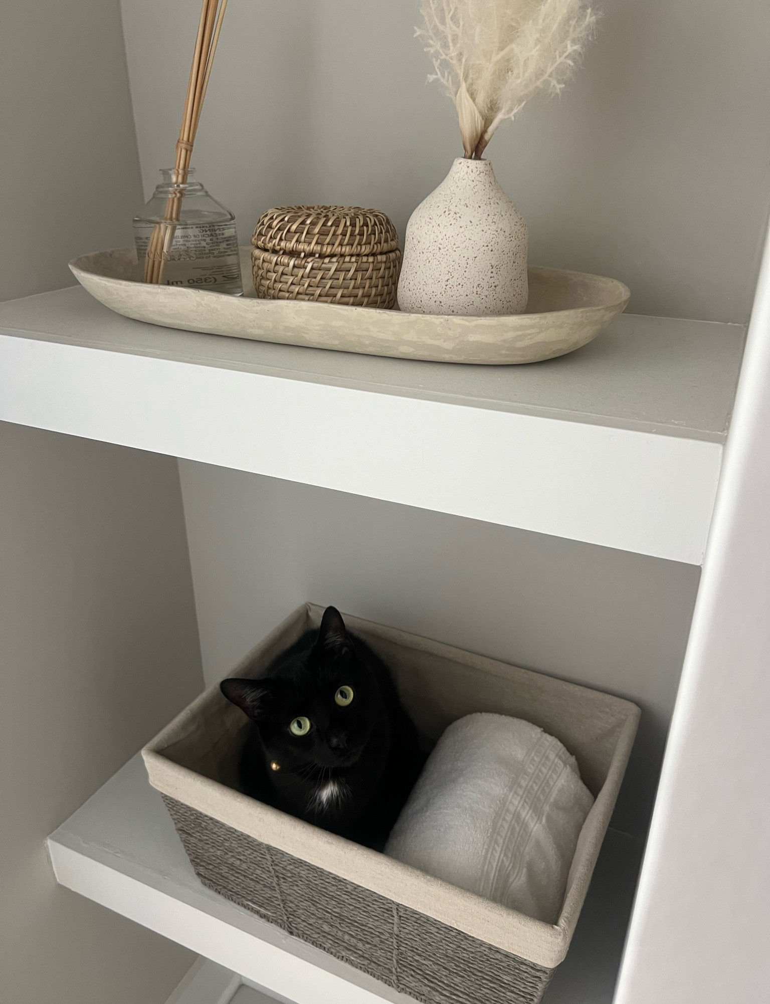 target bathroom shelf decor 🐈‍⬛ 

#LTKFindsUnder50 #LTKHome