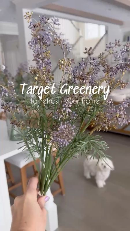 Pretty Target faux stems for your home!! So realistic and affordable!!

(4/21)

#LTKhome #LTKVideo #LTKstyletip