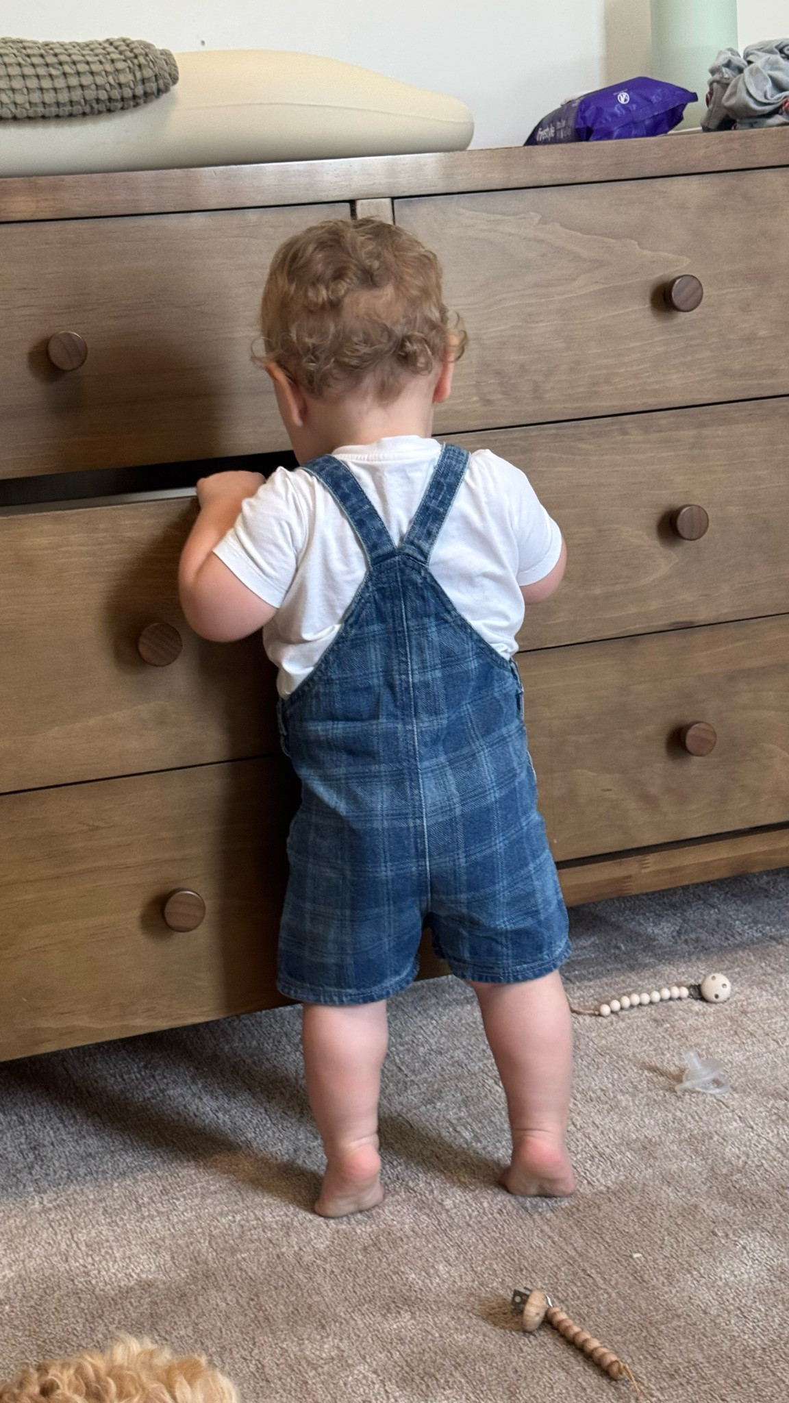 baby overalls 

 #LTKBaby #LTKBump #LTKKids
