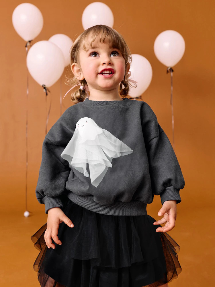 Buy Charcoal Grey Halloween Ghost Crew Neck Sweatshirt (3mths-7yrs) from Next USA | Next US