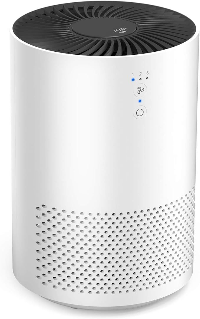 Intelabe HEPA Air Purifier Air Filter with Fragrance Sponge Air Cleaner Eliminate Smoke, Dust,Pol... | Amazon (US)