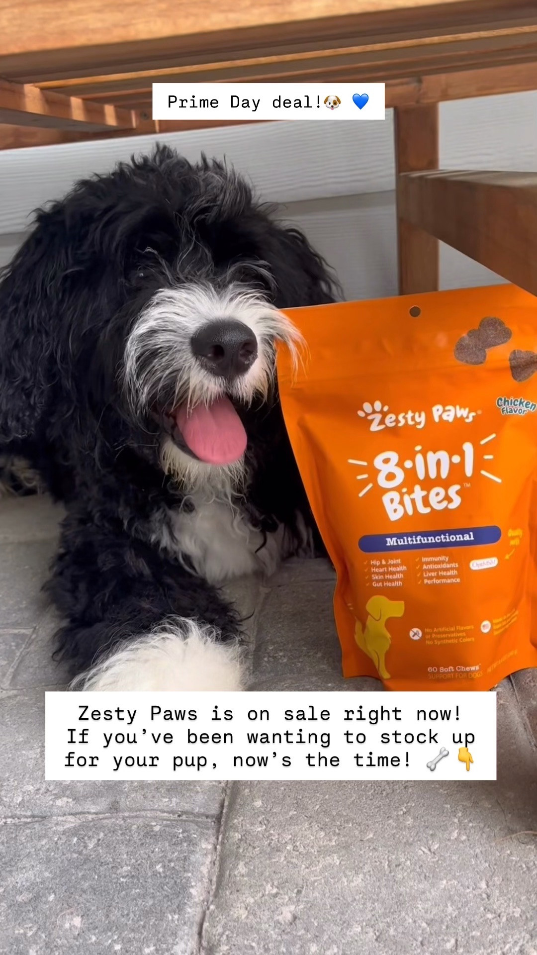 🐶 Prime Day has some really good pet deals right now! 🐾✨

If you’ve been waiting to stock up, now’s a great time to check them out!