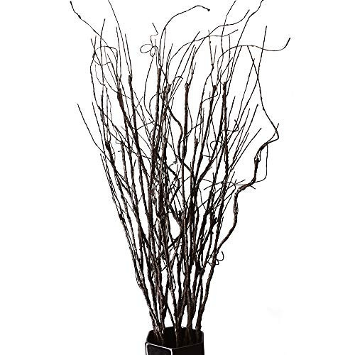FeiLix 10PCS Lifelike Curly Willow Branches Decorative Dried Artificial Twigs, 30.7 Inches Fake Bendable Sticks Vintage Vines/Stems DIY Greenery Plants Craft Vases Home Garden Hotel Farmhouse Decor | Amazon (US)