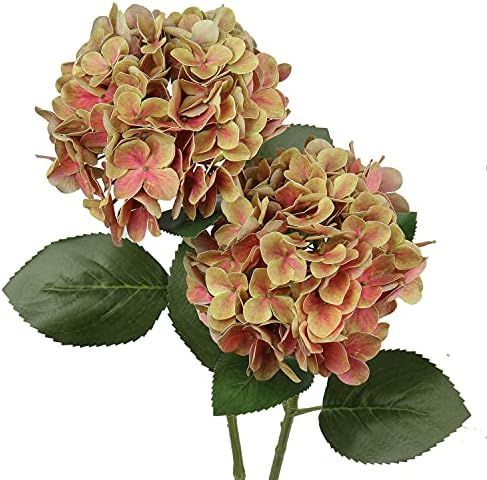 Fake Hydrangeas Real Touch Hydrangea Flowers 24.8" Large Artificial Hydrangea Flowers Silk Hydran... | Amazon (US)