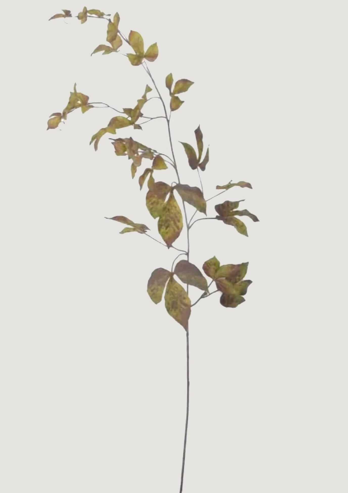 Eggplant Grape Ivy Leaf Branch | Faux Branches for Fall | Afloral.com | Afloral