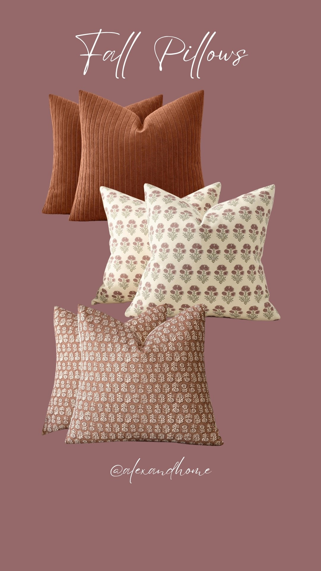 My fall throw pillow combo I’m using! 🍁🍂🤎

#LTKHome #LTKSeasonal #LTKSaleAlert