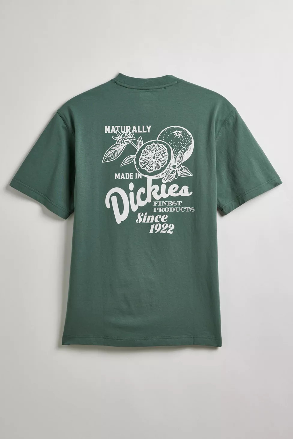 Dickies Raven Tee | Urban Outfitters (US and RoW)