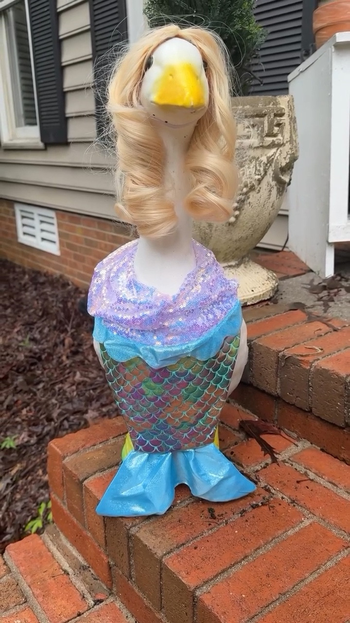 🪿Everyone needs a front porch goose.  Wouldn’t the world be more joyful if we all had our own Gladys?! 

#frontporchgoose #frontporchgoosefashion #porchgooseclub #porchgooseclubofamerica