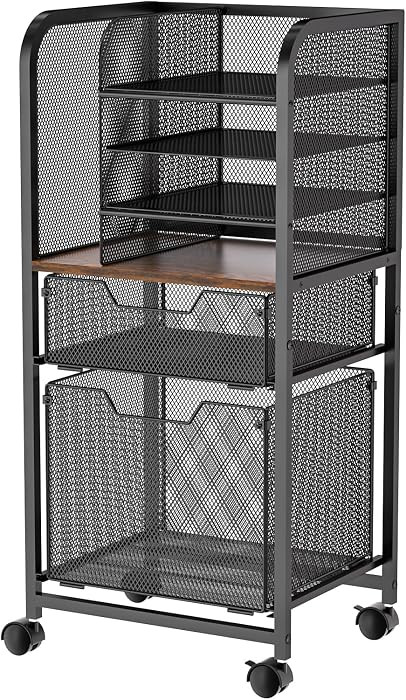 Feyejade 6-Tier Rolling File Cart with 2 Drawers, File Cabinet Organizer for Hanging File Folders... | Amazon (US)