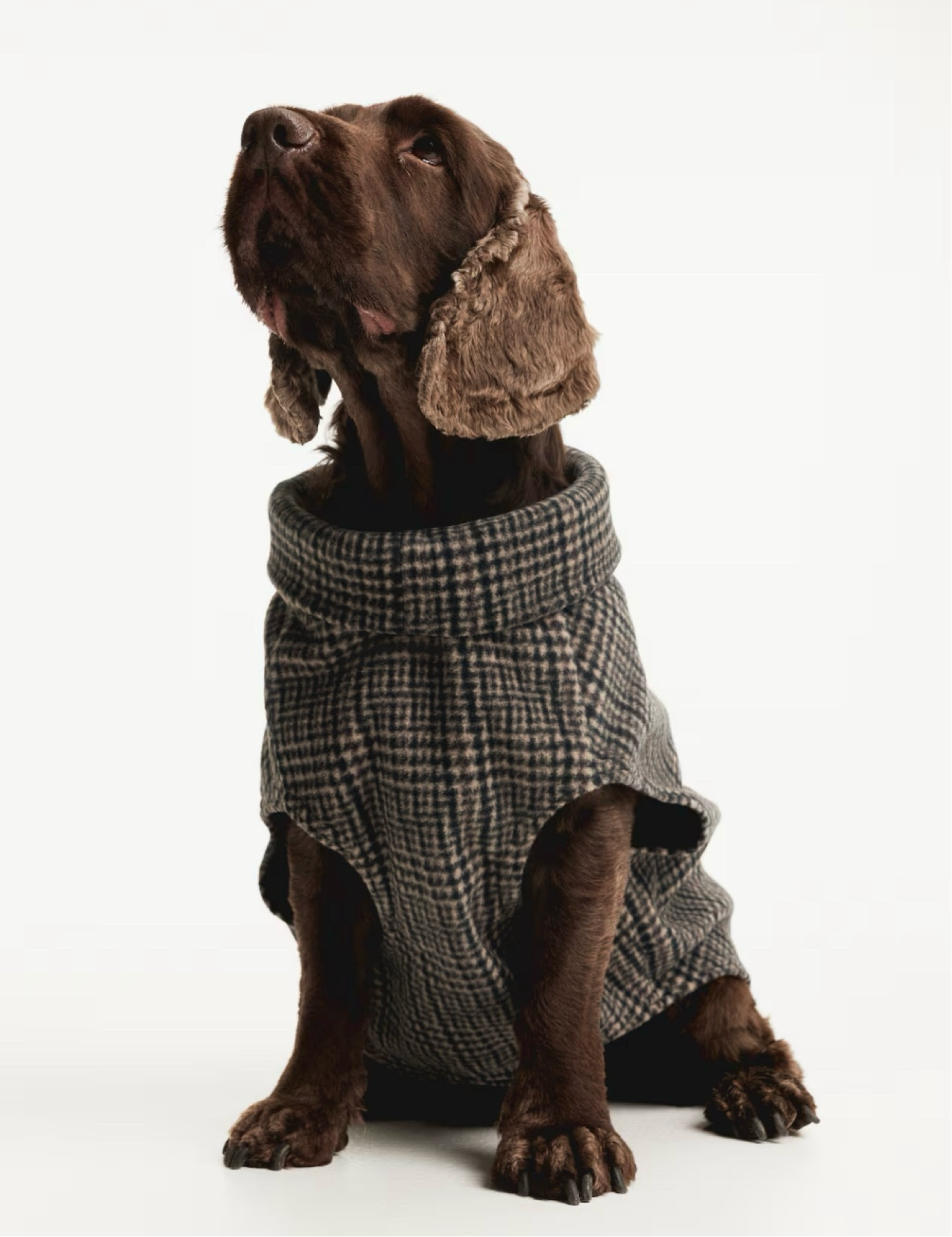Cutest fall/winter dog sweaters sized XXS to large 

#LTKHome #LTKFindsUnder50 #LTKSeasonal