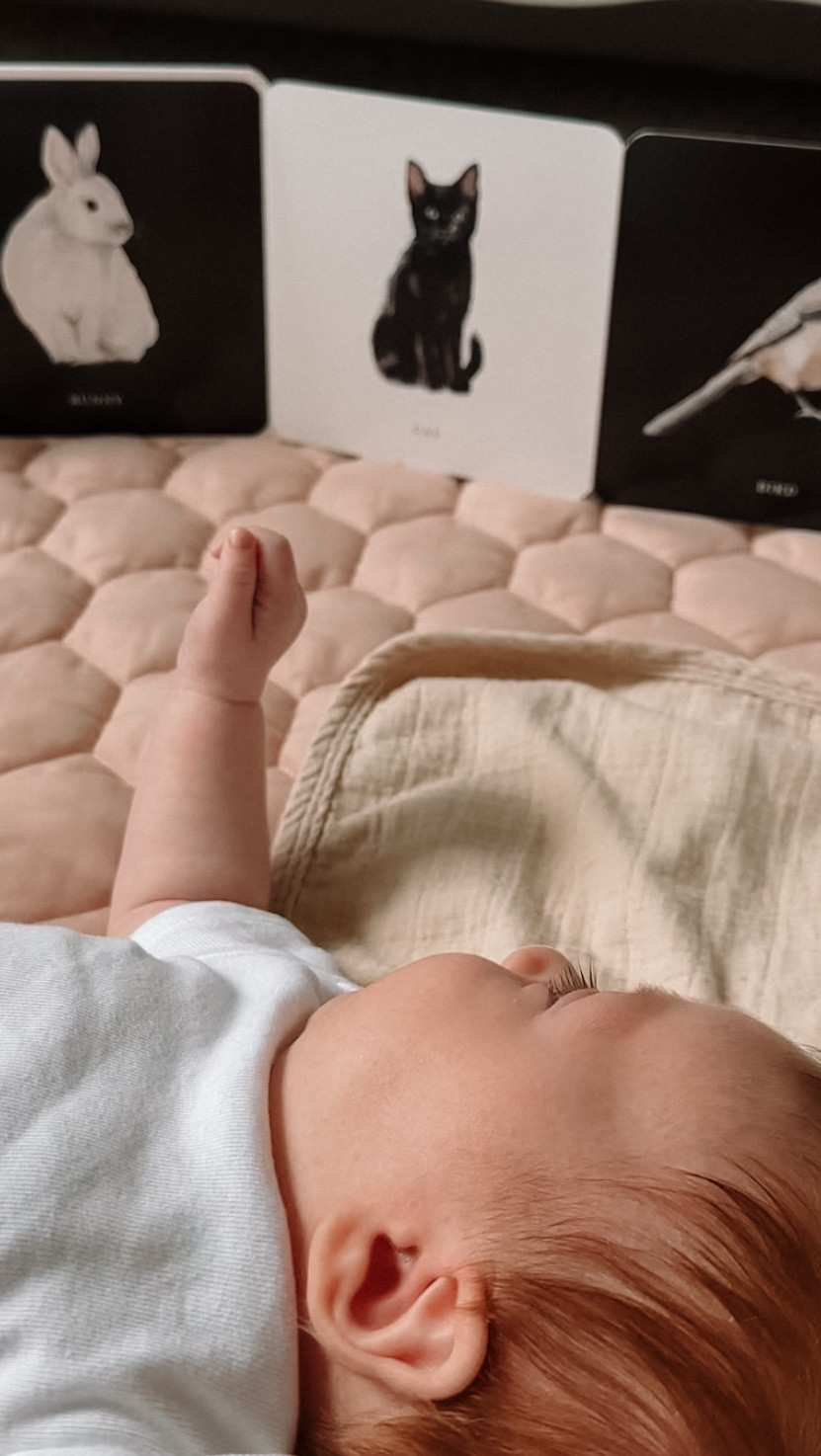 Tummy time, soft play, and high contrast books keep our girl happily entertained during her morning wake window 🤭

We love @Target baby finds!

// baby play essentials // baby wake window // newborn playtime // baby sensory play // baby book // baby playmat // tummy time essentials // target baby finds // baby dresser //  

#LTKBaby #LTKdayinmylife #LTKmorningroutine
