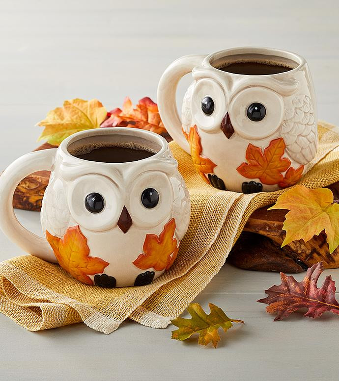 Fall Owl Mug Duo | Harry & David