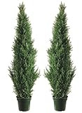TRESIL Two 4 Foot Outdoor Artificial Cedar Topiary Trees Uv Rated Potted Plants | Amazon (US)