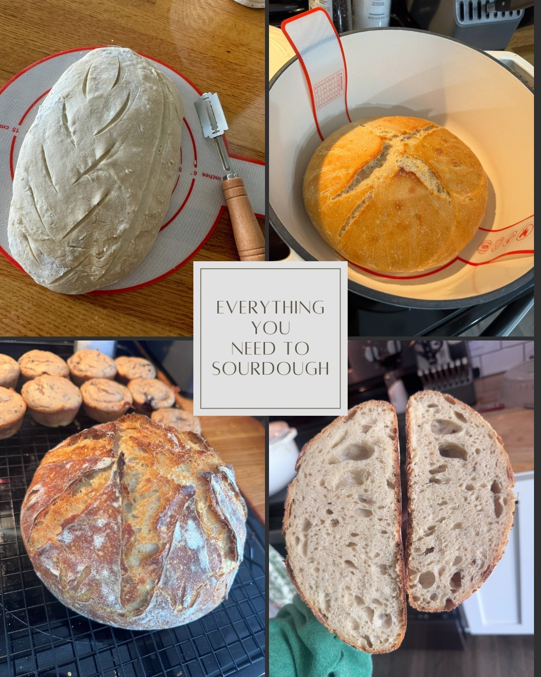 Here’s a GREAT starter kit for anyone looking to jump on the sourdough trend! 

I personally LOVE it and find it so rewarding! 🍞 

Would also be a great gift 🎁 

#LTKHome #LTKGiftGuide #LTKFindsUnder50