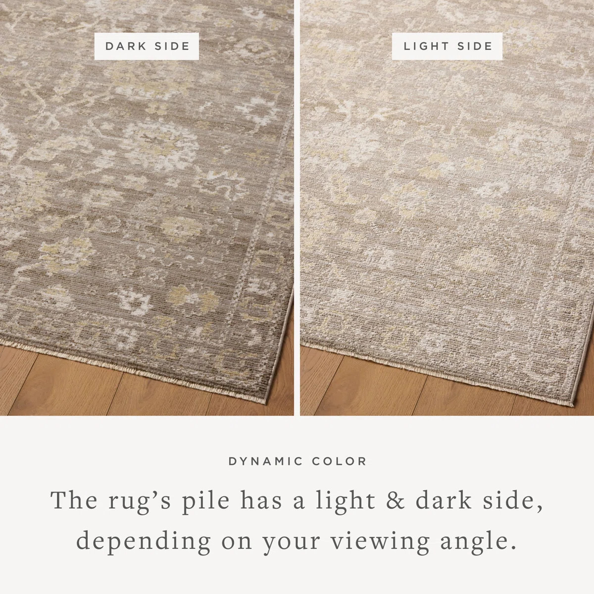 Magnolia Home by Joanna Gaines x Loloi Pace Taupe / Wheat Area Rug & Reviews | Wayfair | Wayfair North America
