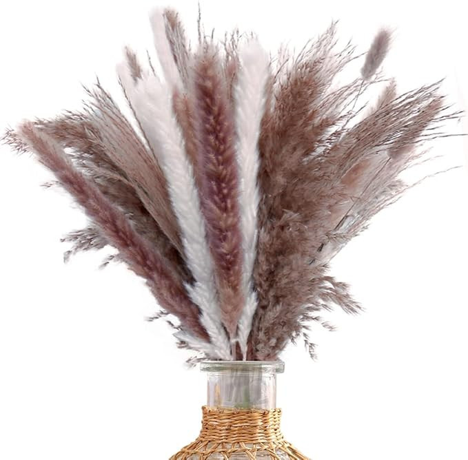 17.5" Dried Pampas Grass for Boho Christmas Decor, 75 pompas Stems, Natural & White Color Mix, Fl... | Amazon (US)