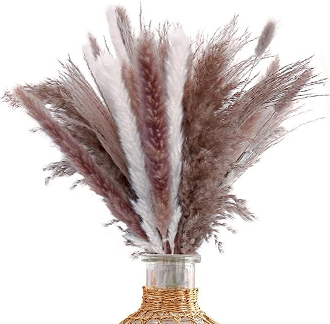 17.5" Dried Pampas Grass for Boho Christmas Decor, 75 pompas Stems, Natural & White Color Mix, Fl... | Amazon (US)
