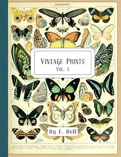 Vintage Prints: Vol. I | Amazon (US)