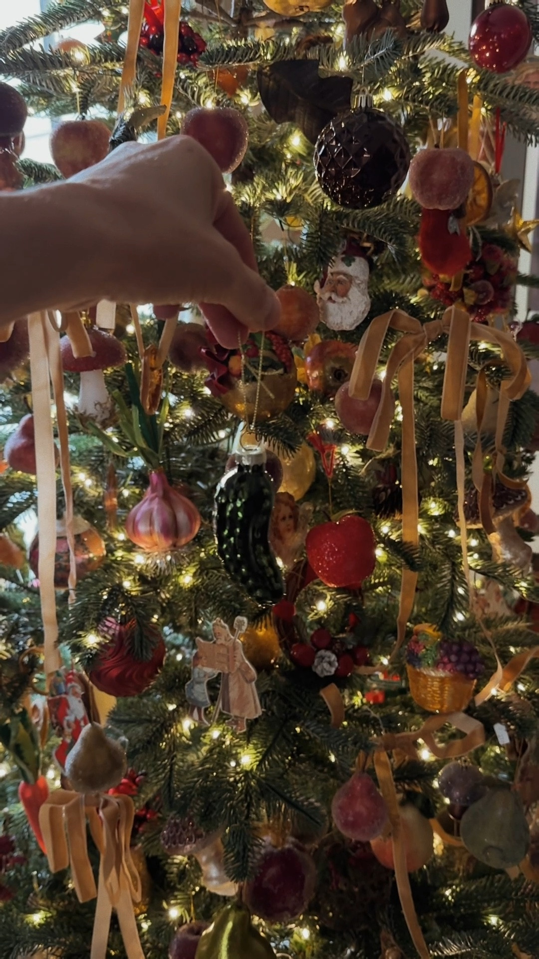 Do you put a pickle in your tree?! We do! Found one for you if you want to start this tradition too. 

#LTKVideo #LTKSeasonal #LTKHoliday