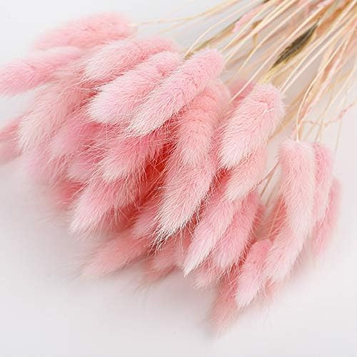 50PCS Home Decoration Lagurus Ovatus Rabbit Tail Dried Flowers, Real Flower, Eternal Flower Dried... | Amazon (US)
