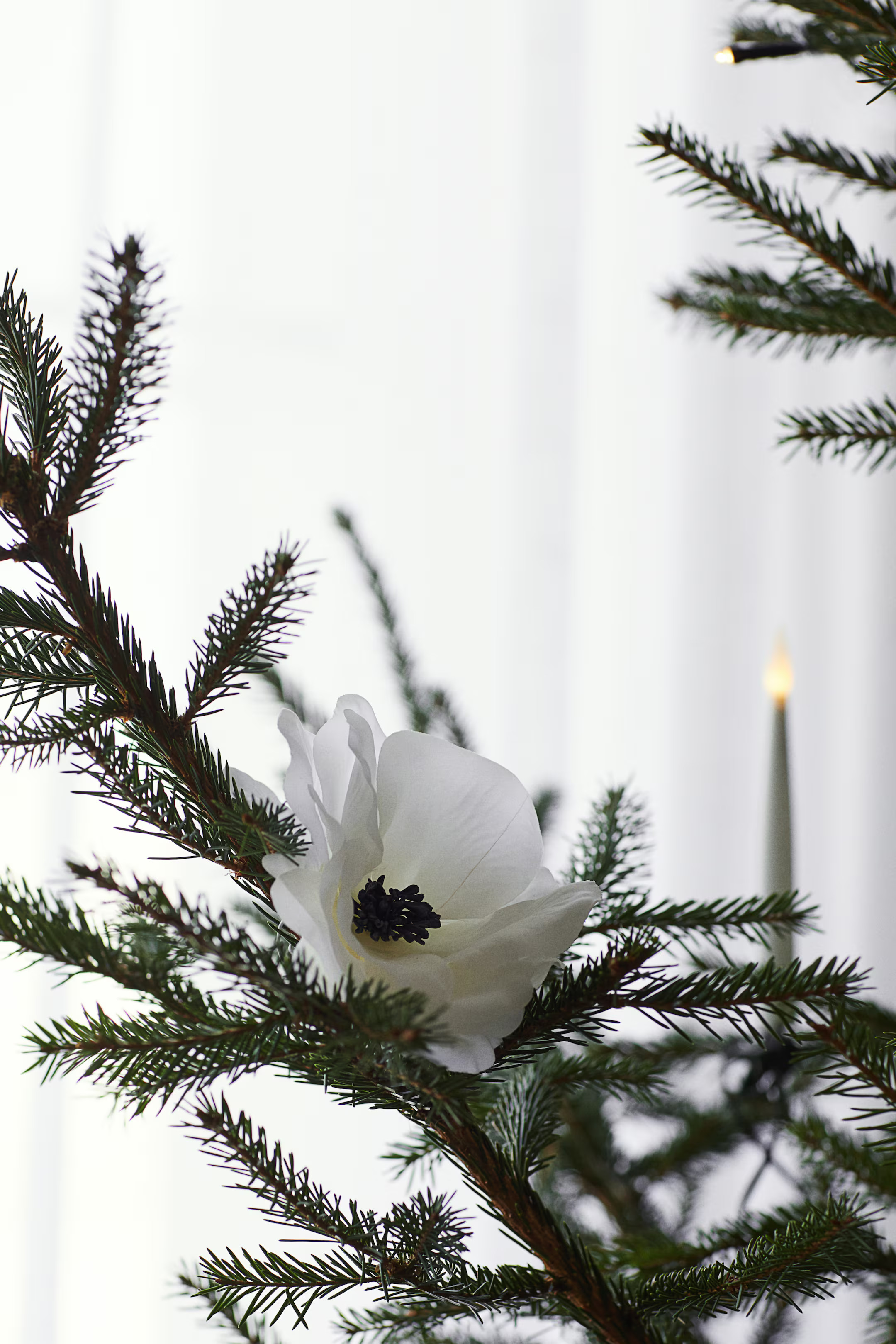 Hellebore Ornament - White/flower - Home All | H&M US | H&M (US + CA)