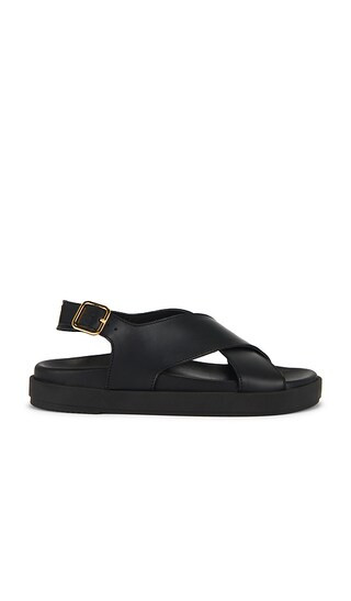 ALOHAS Nico Sandals in Black. | Revolve Clothing (Global)