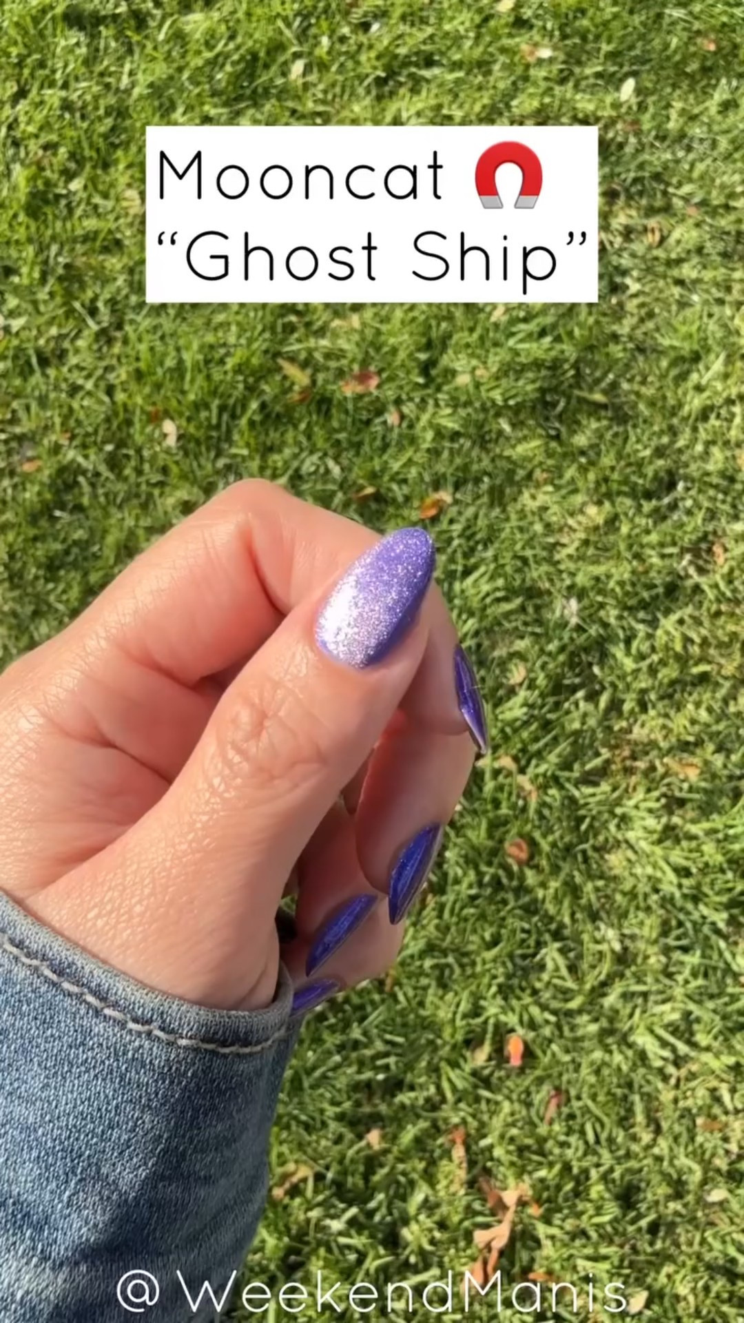 Ghost Ship by @mooncat 

Did you shop the Mooncat Lunar sale? 🌙 

Ghost Ship is a royal purple magnetic lacquer filled with blue shimmer and micro holographic glitter that reveals a bright silver magnetic stripe 🤩 

It was so easy to achieve a velvet effect using my 30 lb horseshoe magnet! You can also achieve this with the magnetic wand it comes with, but you have to hover the rectangular part wand back and forth for each coat (including top coat) until the polish sets. 🧲 

Are you a fan of magnetic nail polish? Which design is your favorite? 😍 

#mooncat @checkyesmichelle #purplenails #magneticnails #magneticpolish #velvetnails #horseshoemagnet #nailart #athomenails #salonnails #weekendmanis