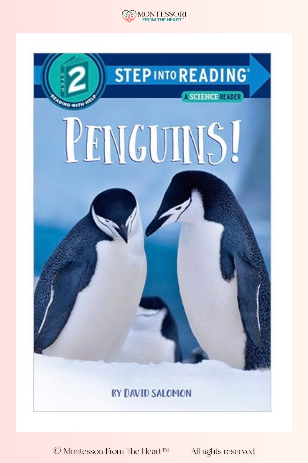 Penguins ~ Step into Reading ~ Book for Kids 

#LTKHome #LTKstorytime #LTKKids