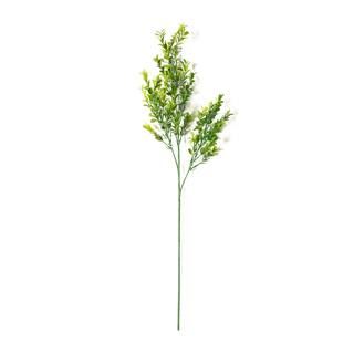 Sweet Grass Stem by Ashland® | Michaels Stores