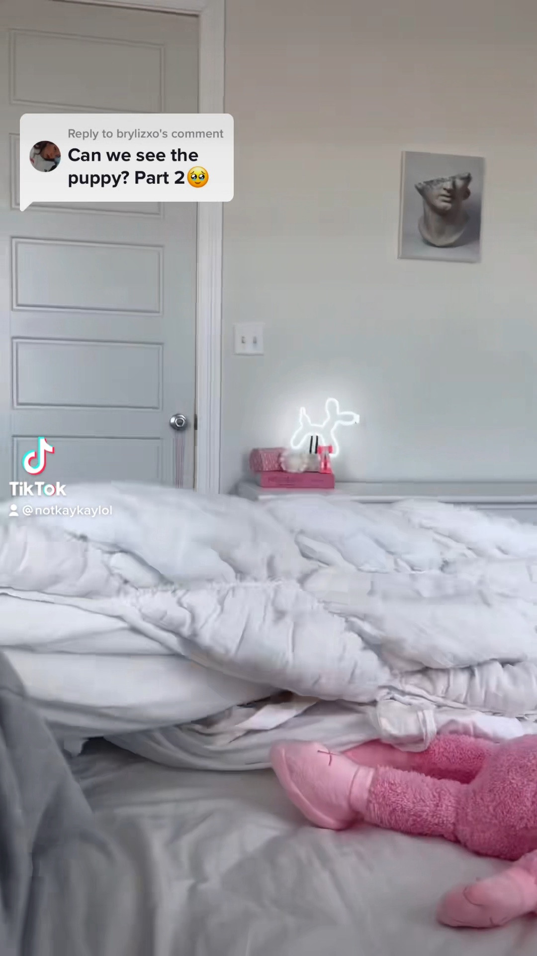 introducing my puppies to tiktok vid! puppy essentials, dog crate, puppy play pen, dog sweater, fluffy dog bed, checkered blanket, dog bowl silicone anti slip mat, puppy sweaters, chewy Vuitton, cute dog toys 

#LTKhome #LTKfamily #LTKFind