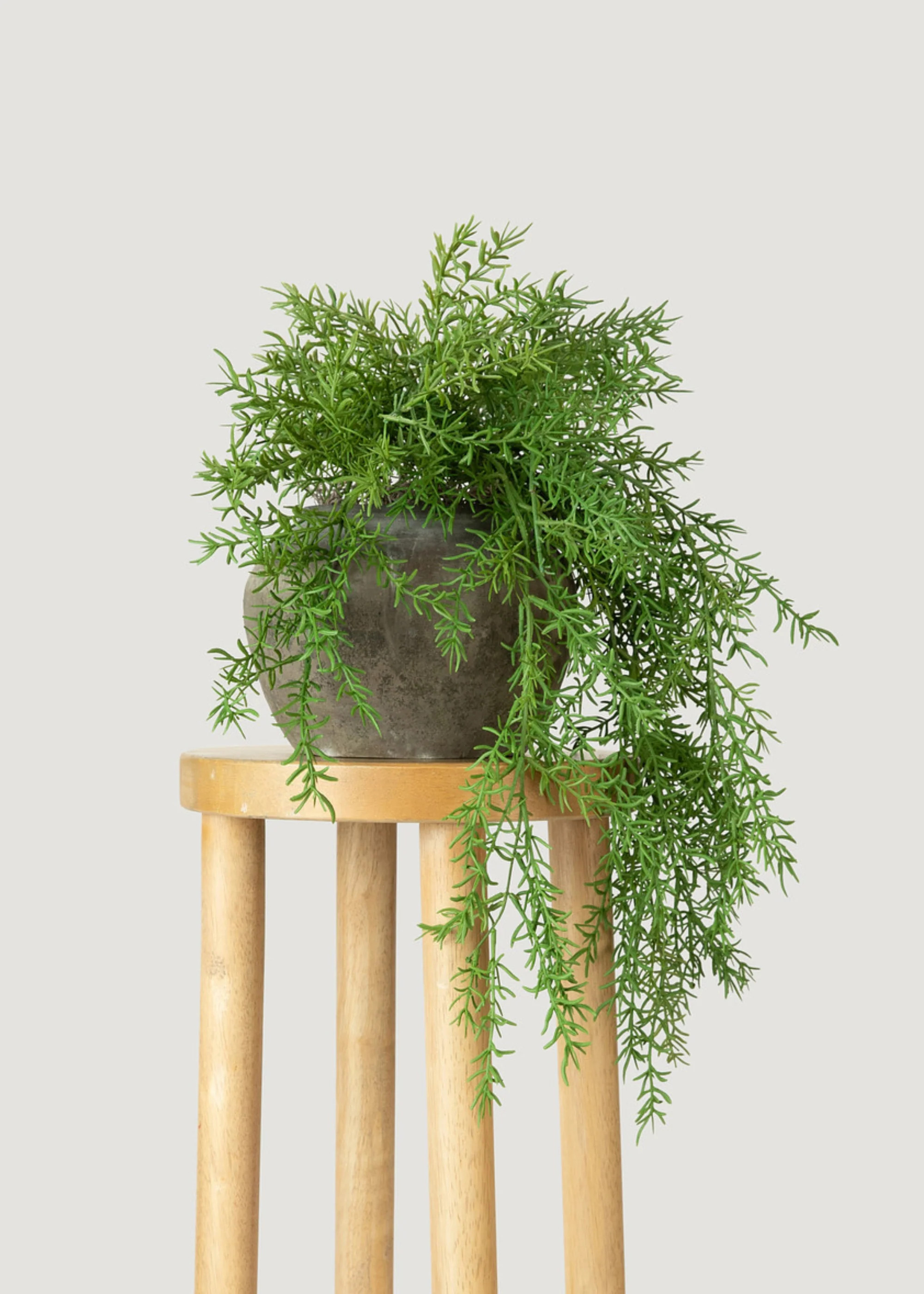 Artificial Hanging Asparagus Fern Plant - 22 | Afloral