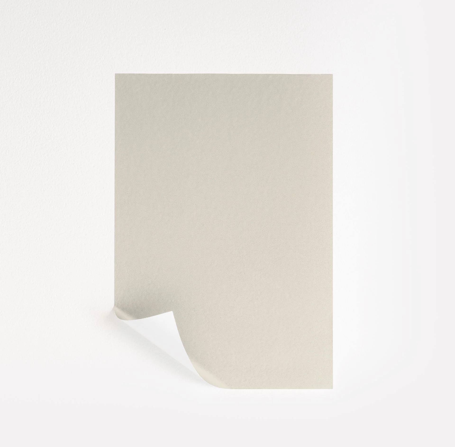Nacre  Paint Sample | Samplize
