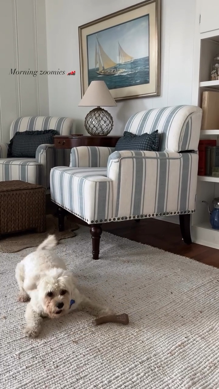 Morning zoomies 🏎️