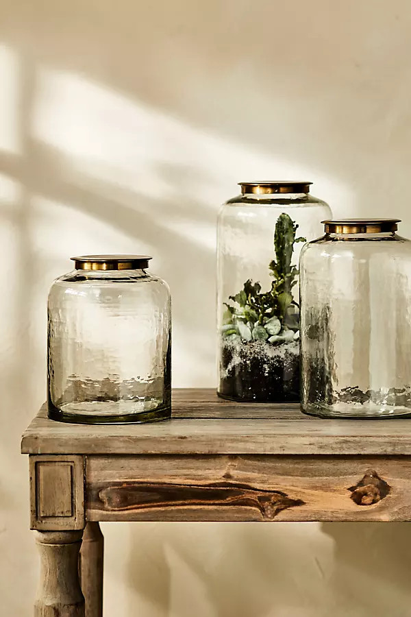 Hammered Glass Terrarium with Lid | Terrain