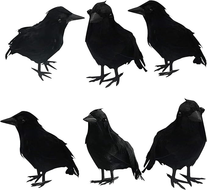 DAZZLE BRIGHT 6Pack Halloween Black Feathered Crows Decor, Holiday Decoration for Indoor Outdoor ... | Amazon (US)