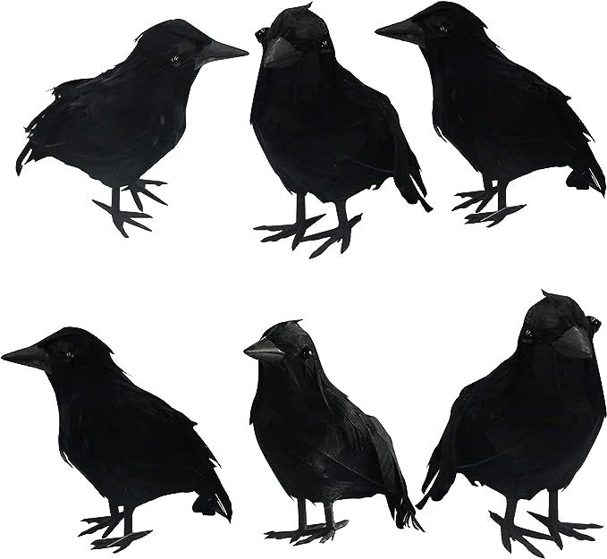 DAZZLE BRIGHT 6Pack Halloween Black Feathered Crows Decor, Holiday Decoration for Indoor Outdoor ... | Amazon (US)