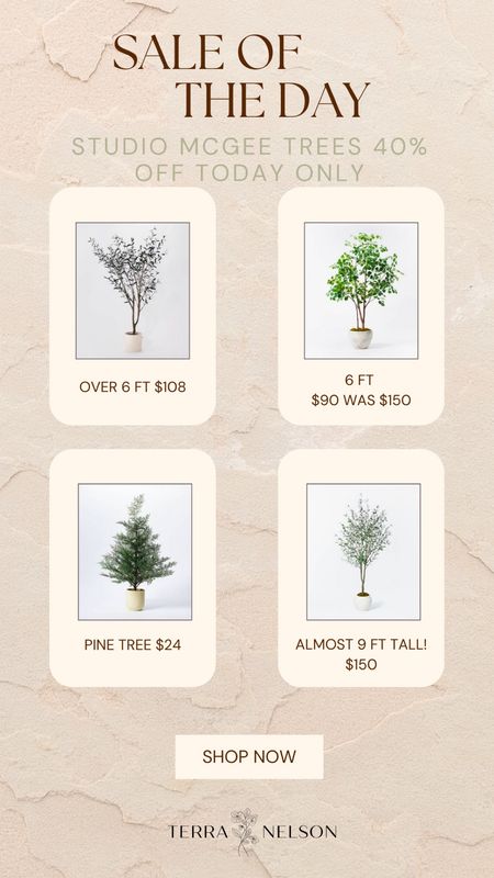 Studio McGee faux trees on sale today only 40% off 

#LTKhome #LTKsalealert #LTKSeasonal