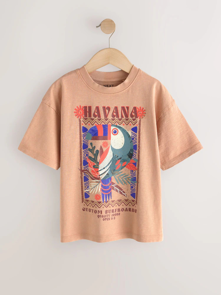 Tan Brown Washed Graphic T-Shirt (3-16yrs) | Next US
