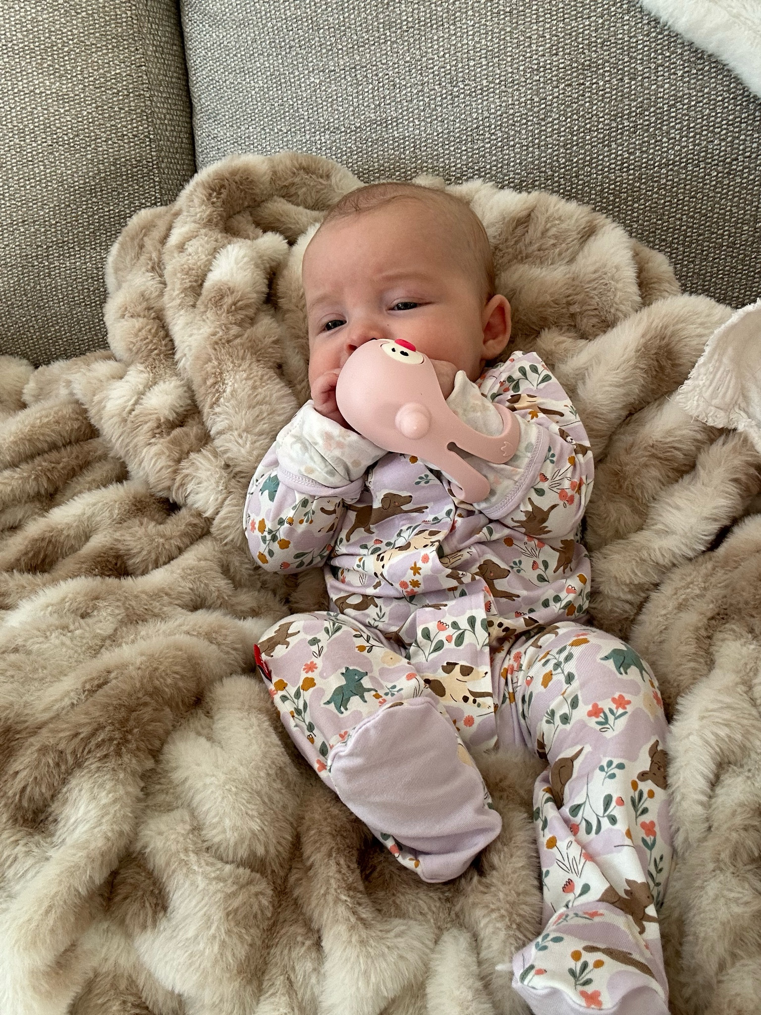 We LOVE this brand of bamboo onesies!! They’re magnetic so really easy to put on and take off! 

#LTKBaby #LTKStyleTip